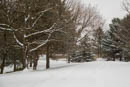 First snow started as a gentle dusting and quietly built to about 6 inches or so.